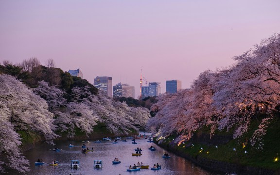 Tokyo 1981